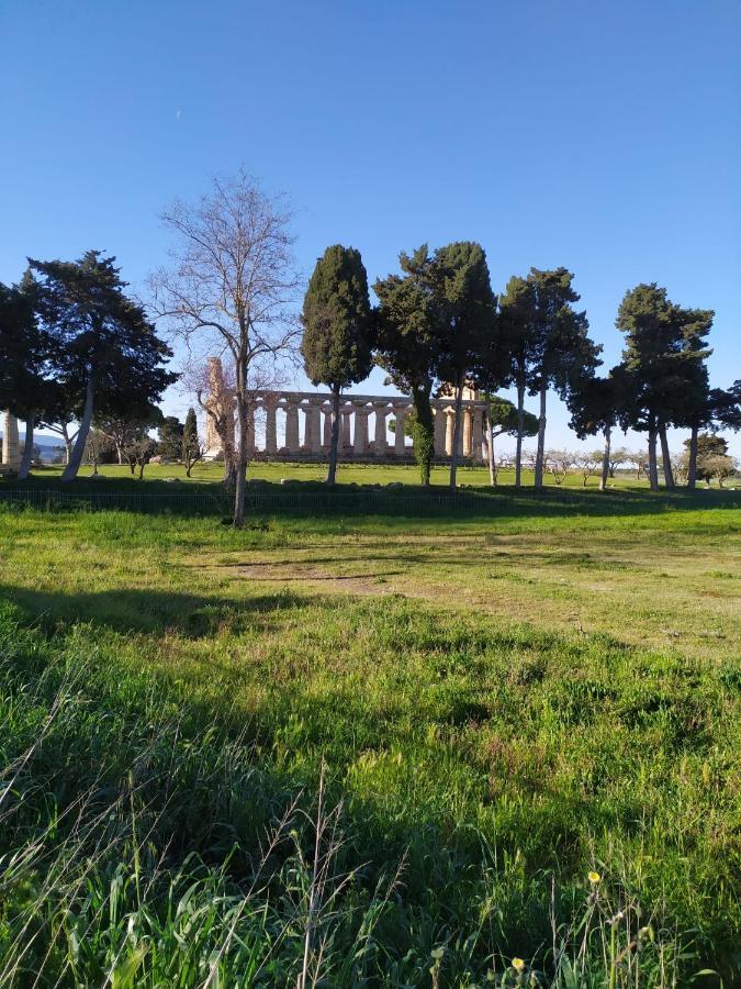 Goethe Paestum House Daire Dış mekan fotoğraf